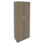 Вяз
