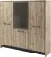 Дуб Вотан