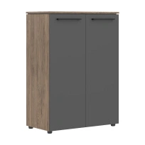 Шкаф для документов с глухими средними дверьми Morris Trend MC 85.1 Сосна Нордик/Антрацит 854×423×1188