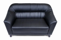 Двухместный диван Райт Вуд Euroforma / Экокожа Euroline / Черный 9100 / 1450×850×920