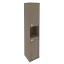 Вяз
