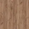 Дуб Табак