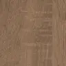 Дуб Сонома