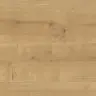 Дуб Гамильтон